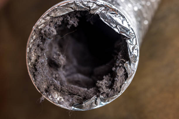 Professional Airduct Cleaning in Chino Valley, AZ